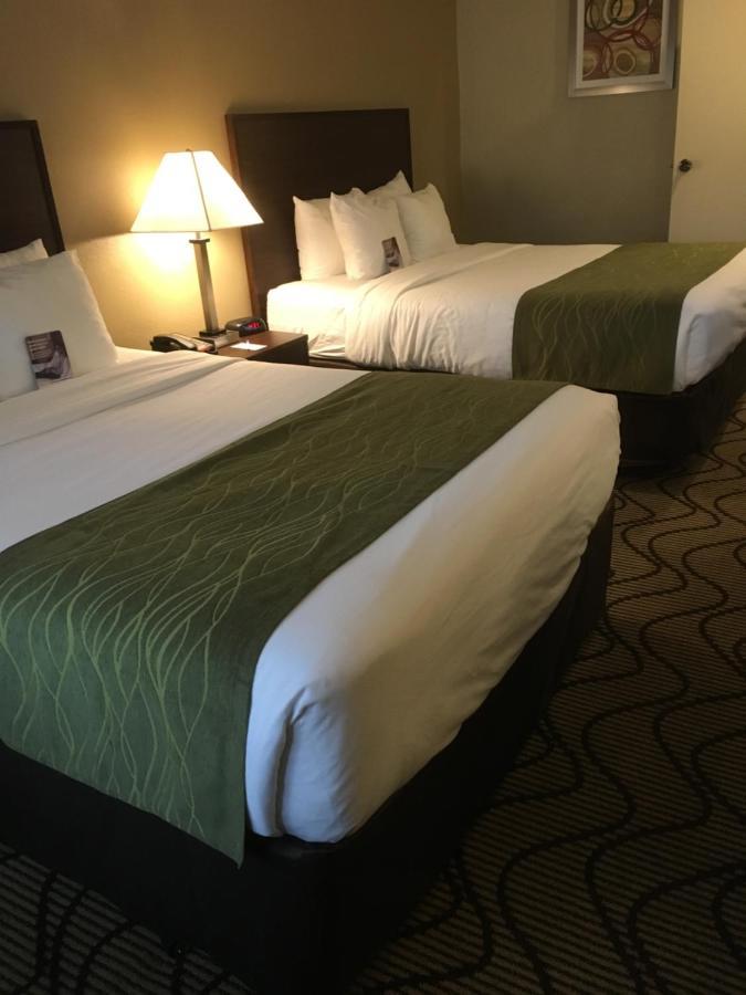 Comfort Inn & Suites Orange County John Wayne Airport Santa Ana Bagian luar foto
